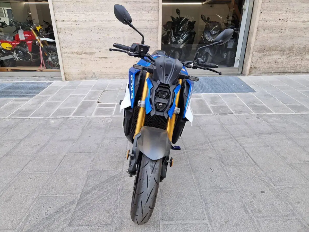 Suzuki GSX-S1000 EVO (2025 - 26) (2)