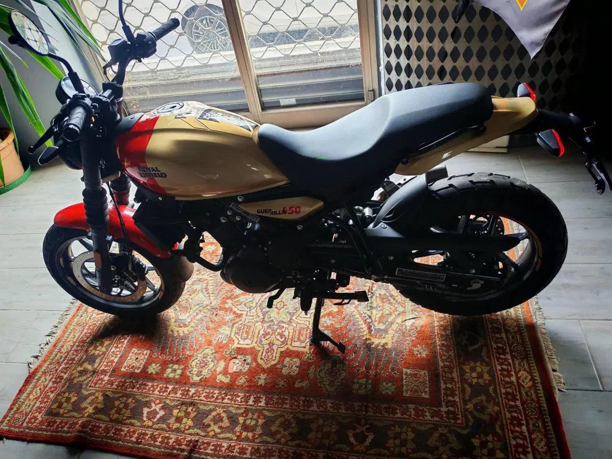 Royal Enfield Guerrilla 450 (2024 - 26) (2)