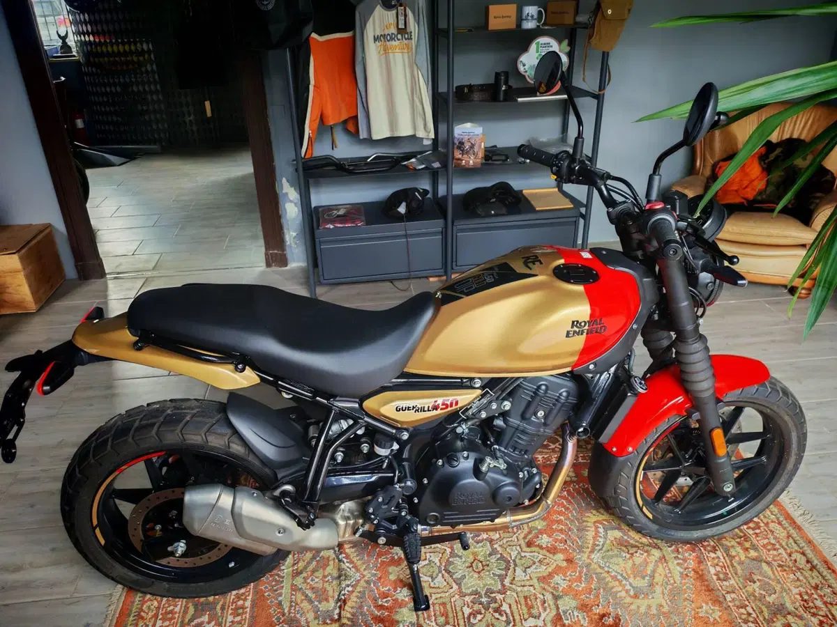 Royal Enfield Guerrilla 450 (2024 - 26)
