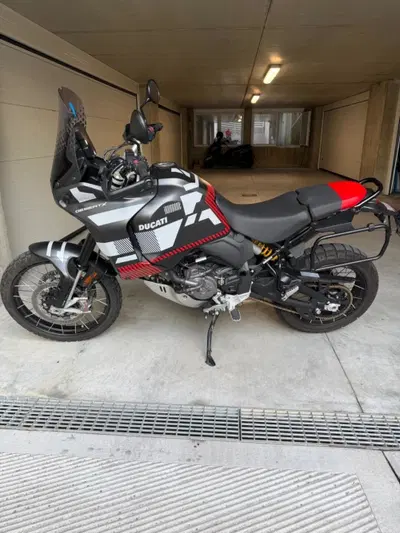 Ducati DesertX (2022 - 25) usata