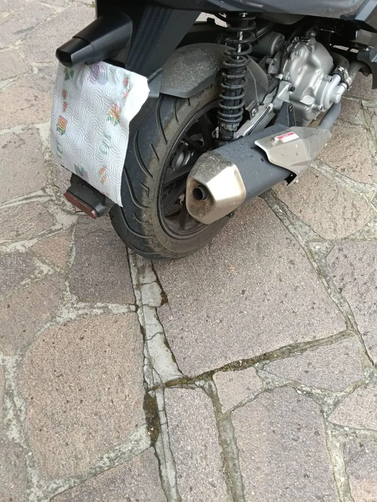 Over Brera 300 (2021 - 23) (2)