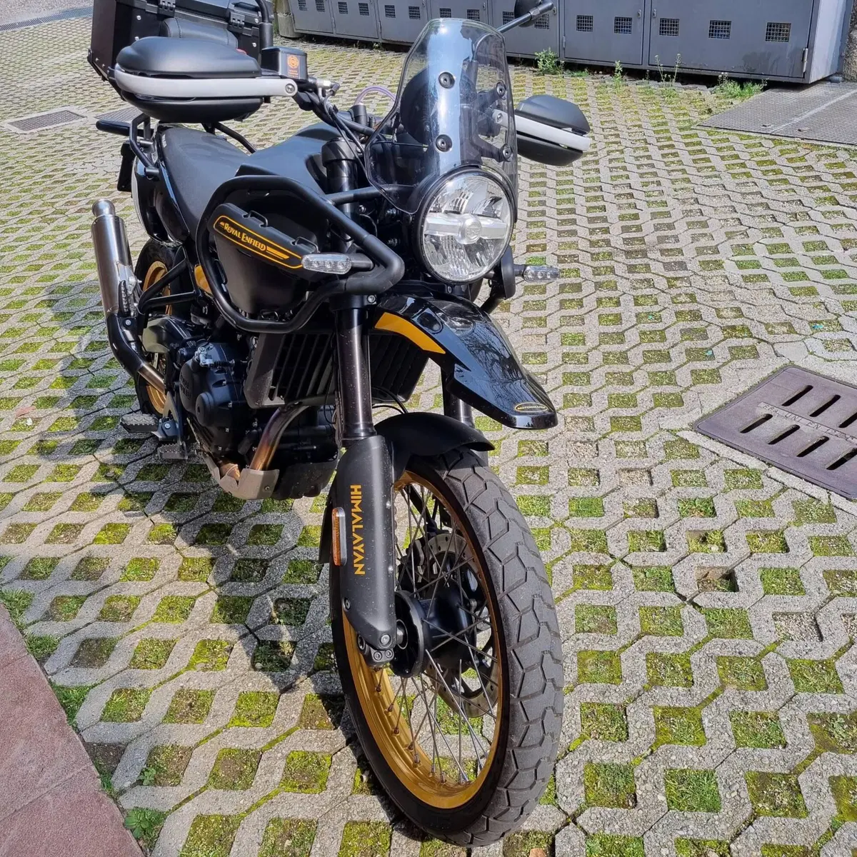 Royal Enfield Himalayan 450 (2024 - 26) (2)