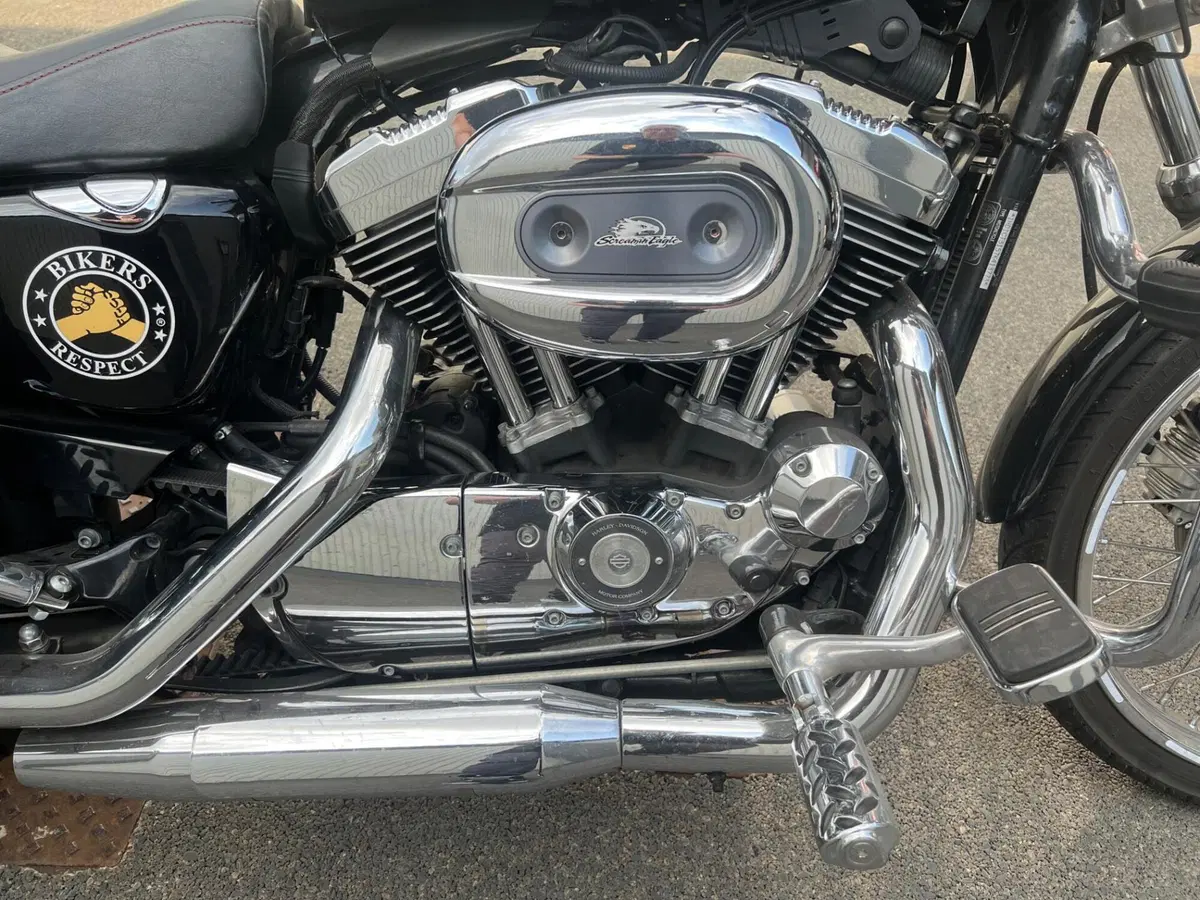 Harley-Davidson 1200 Custom (2007 - 13) - XL 1200C (12)