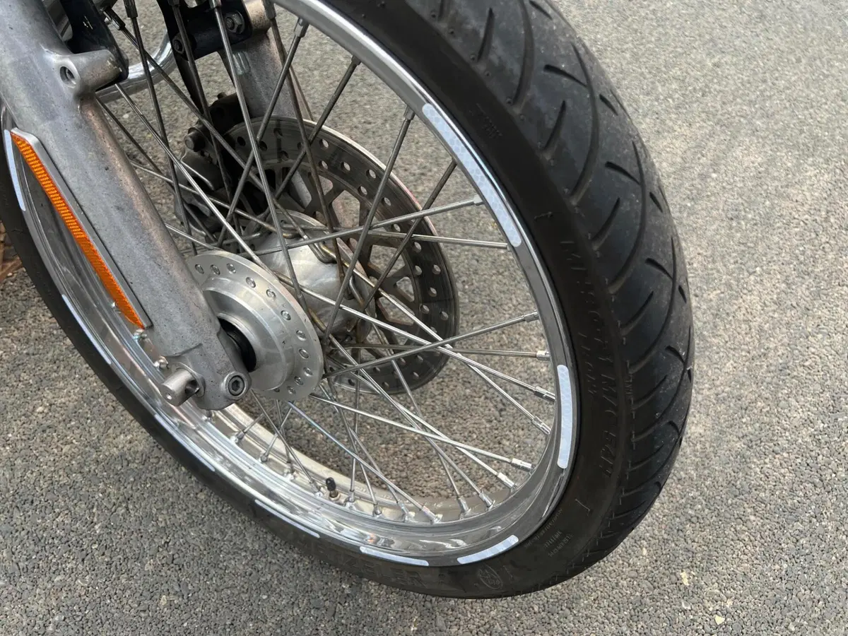 Harley-Davidson 1200 Custom (2007 - 13) - XL 1200C (14)