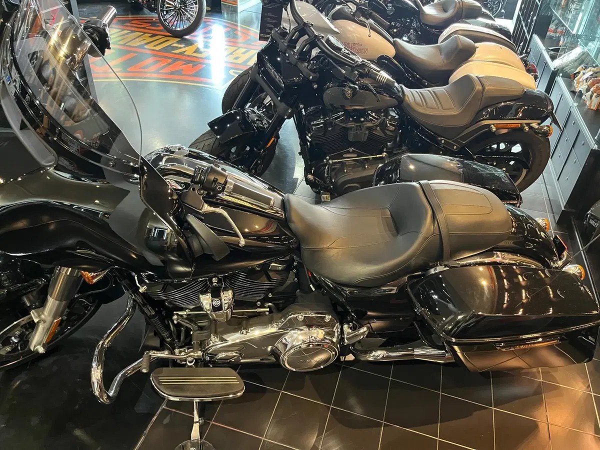 Harley-Davidson Street Glide Special (2021 - 23) (5)