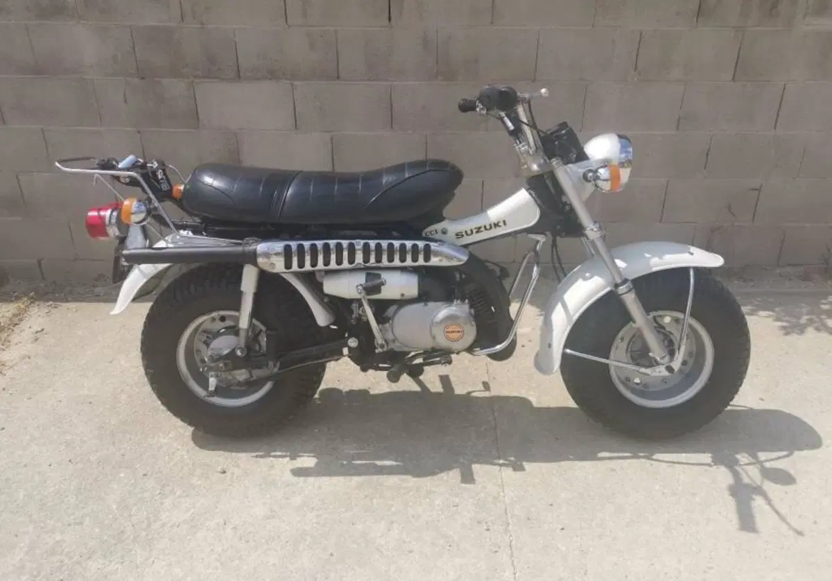Suzuki RV 90 (3)