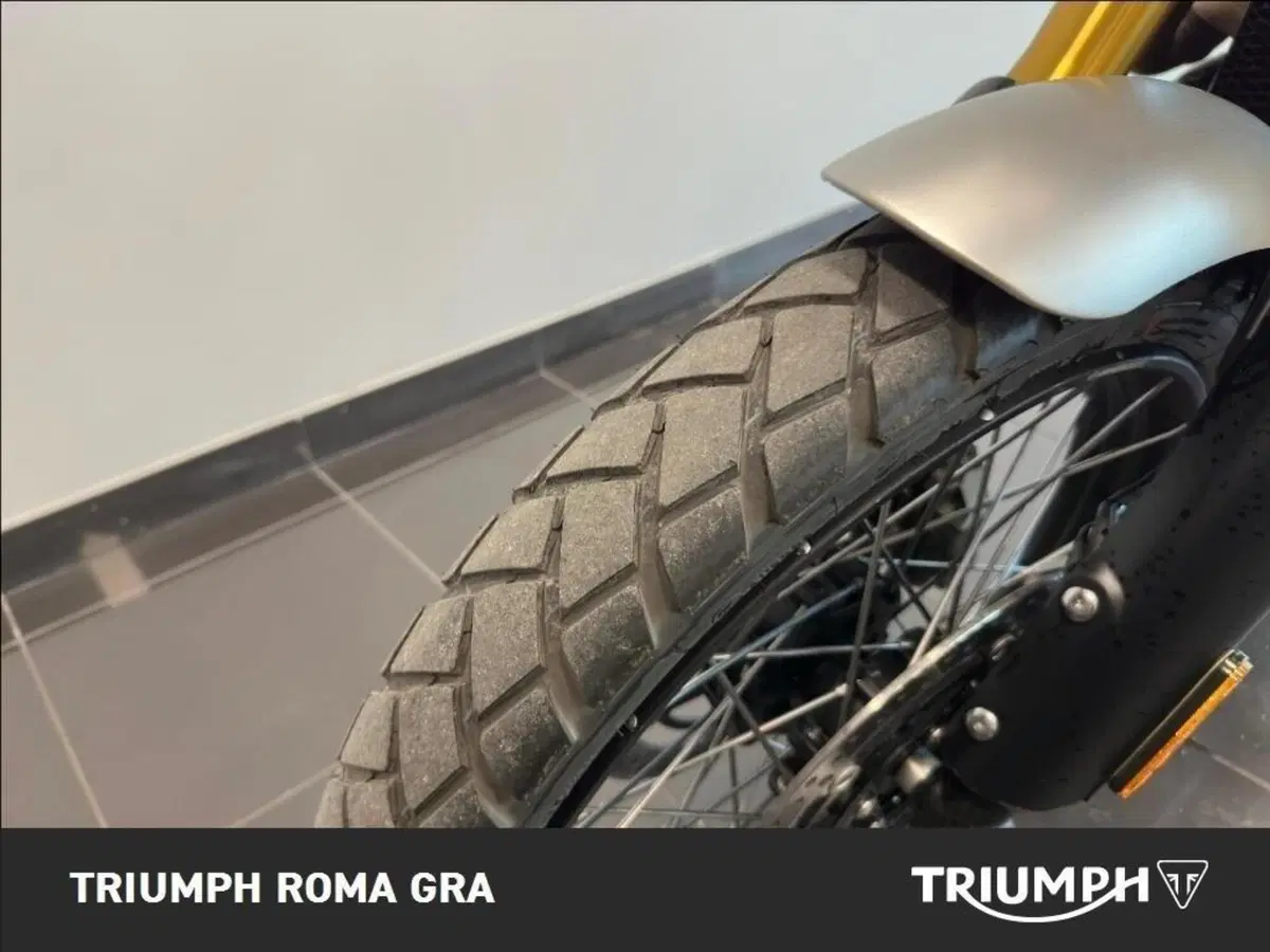 Triumph Scrambler 1200 XE (2024 - 25) (15)