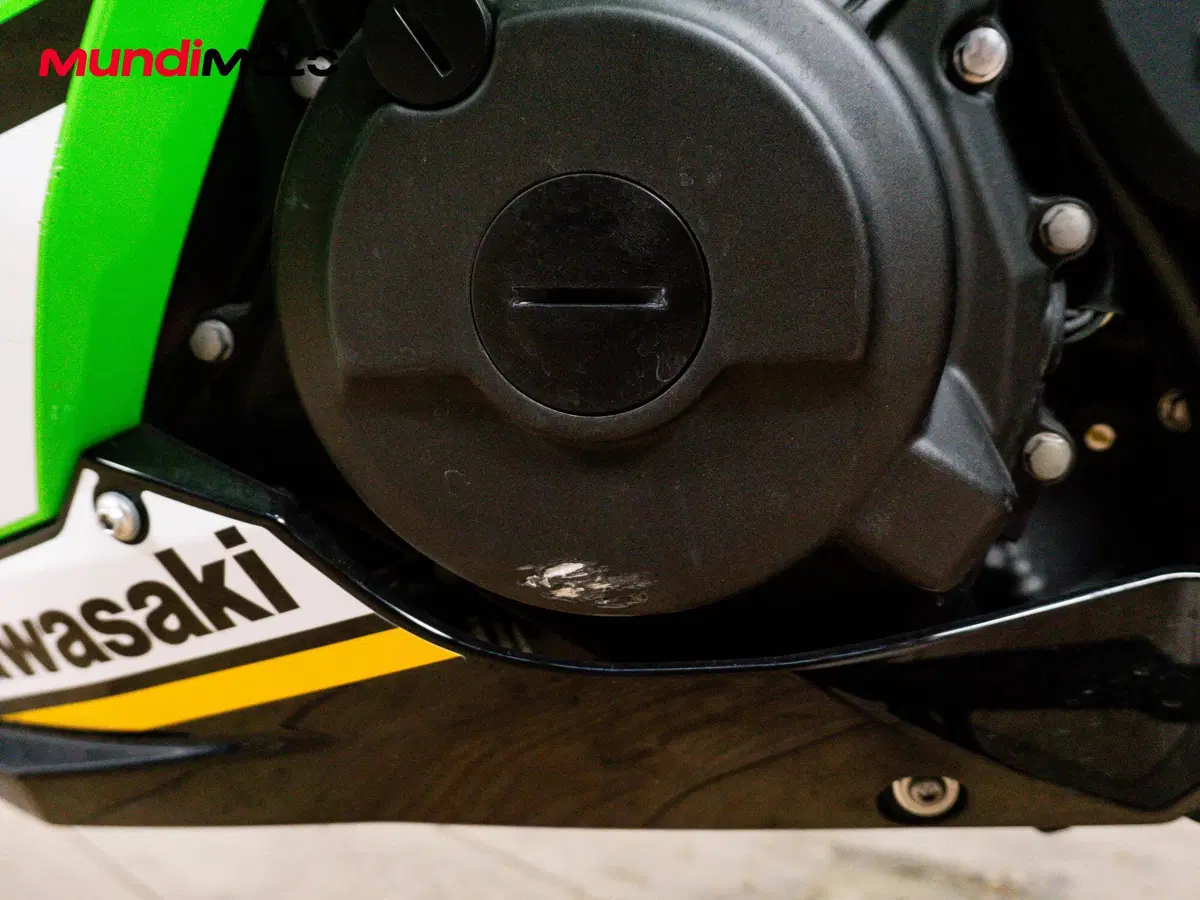 Kawasaki Ninja 500 SE (2024 - 26) (17)
