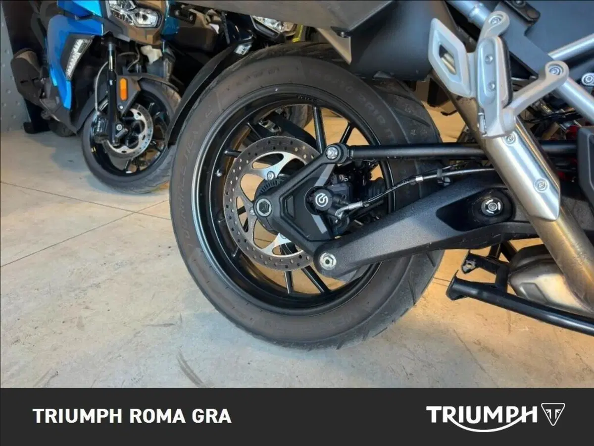 Triumph Tiger 1200 GT Pro (2024 - 26) (5)