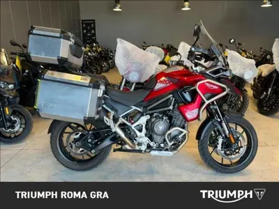 Triumph Tiger 1200 GT Pro (2024 - 26) usata