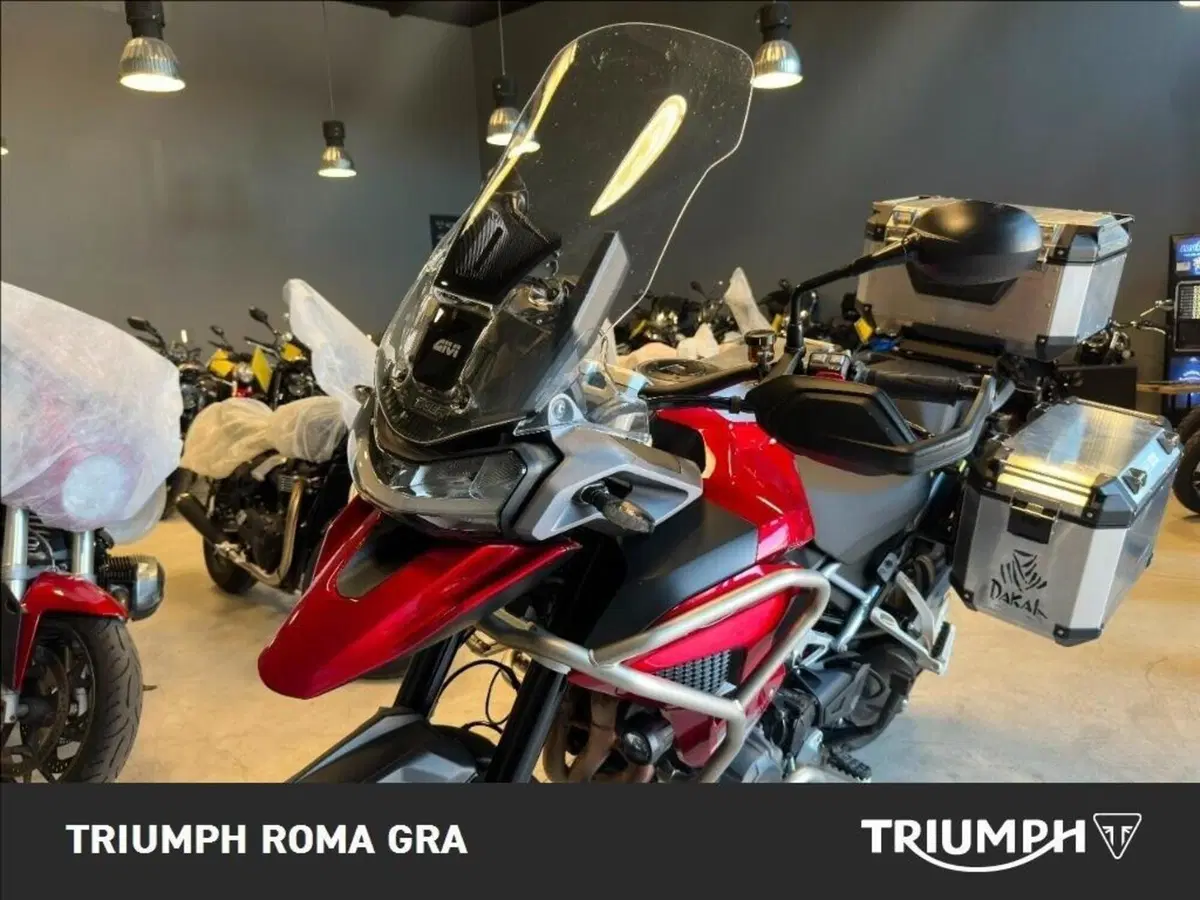 Triumph Tiger 1200 GT Pro (2024 - 26) (13)