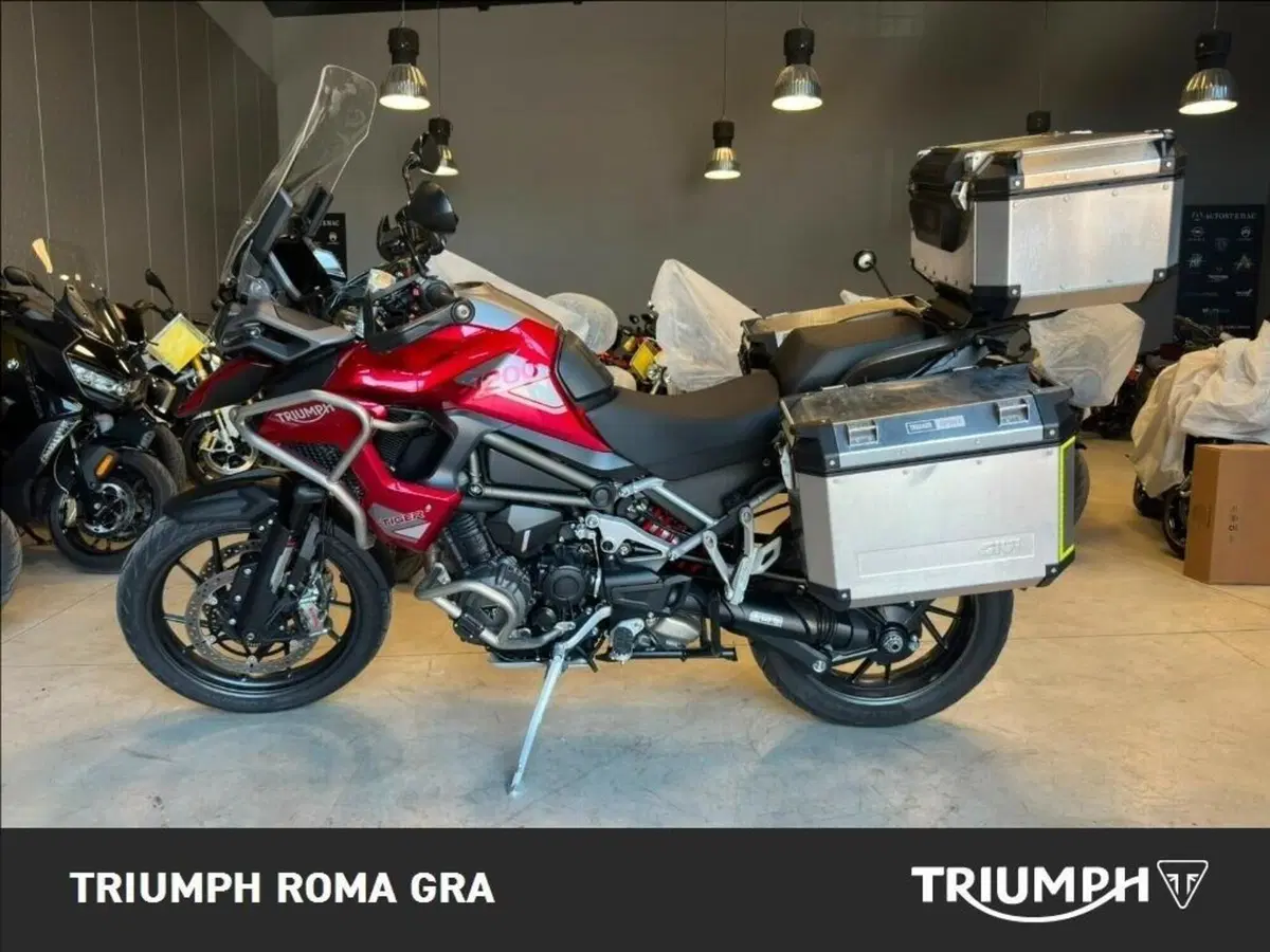 Triumph Tiger 1200 GT Pro (2024 - 26) (2)