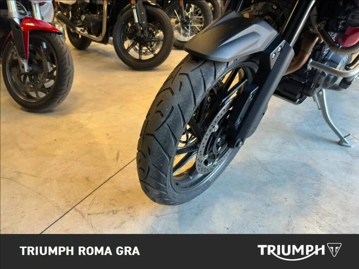 Triumph Tiger 1200 GT Pro (2024 - 26) (19)