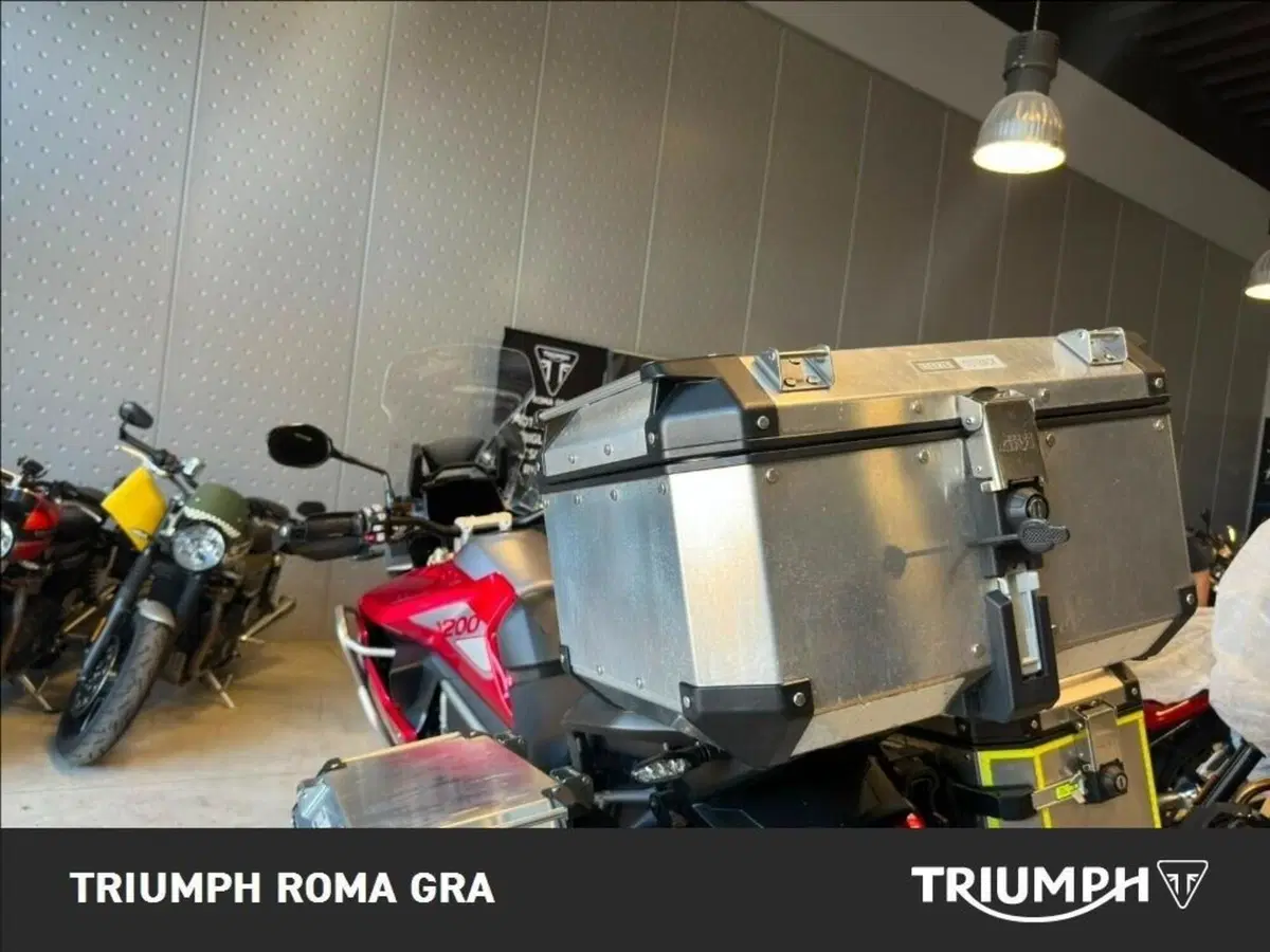 Triumph Tiger 1200 GT Pro (2024 - 26) (16)