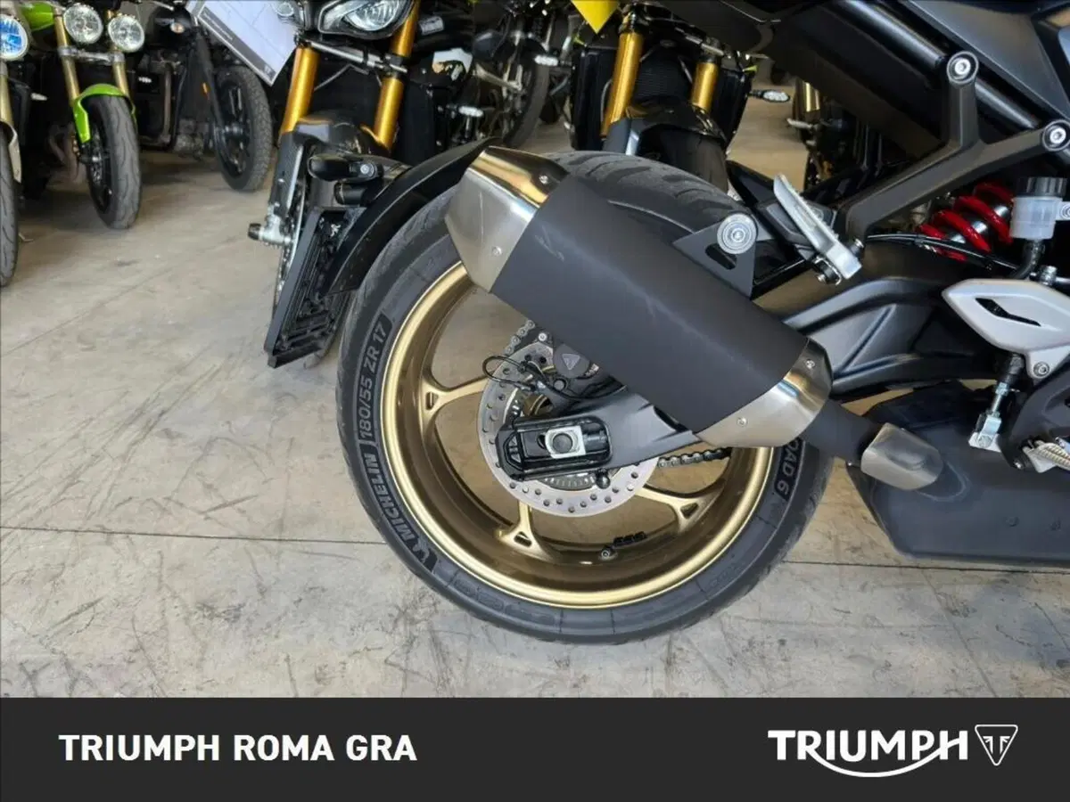 Triumph Trident 800 (2026) (5)