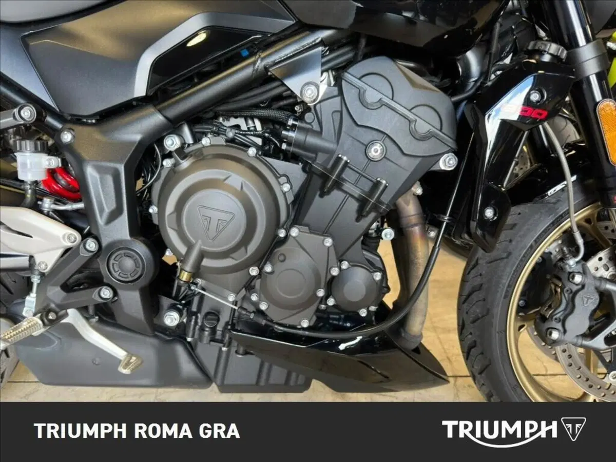 Triumph Trident 800 (2026) (6)