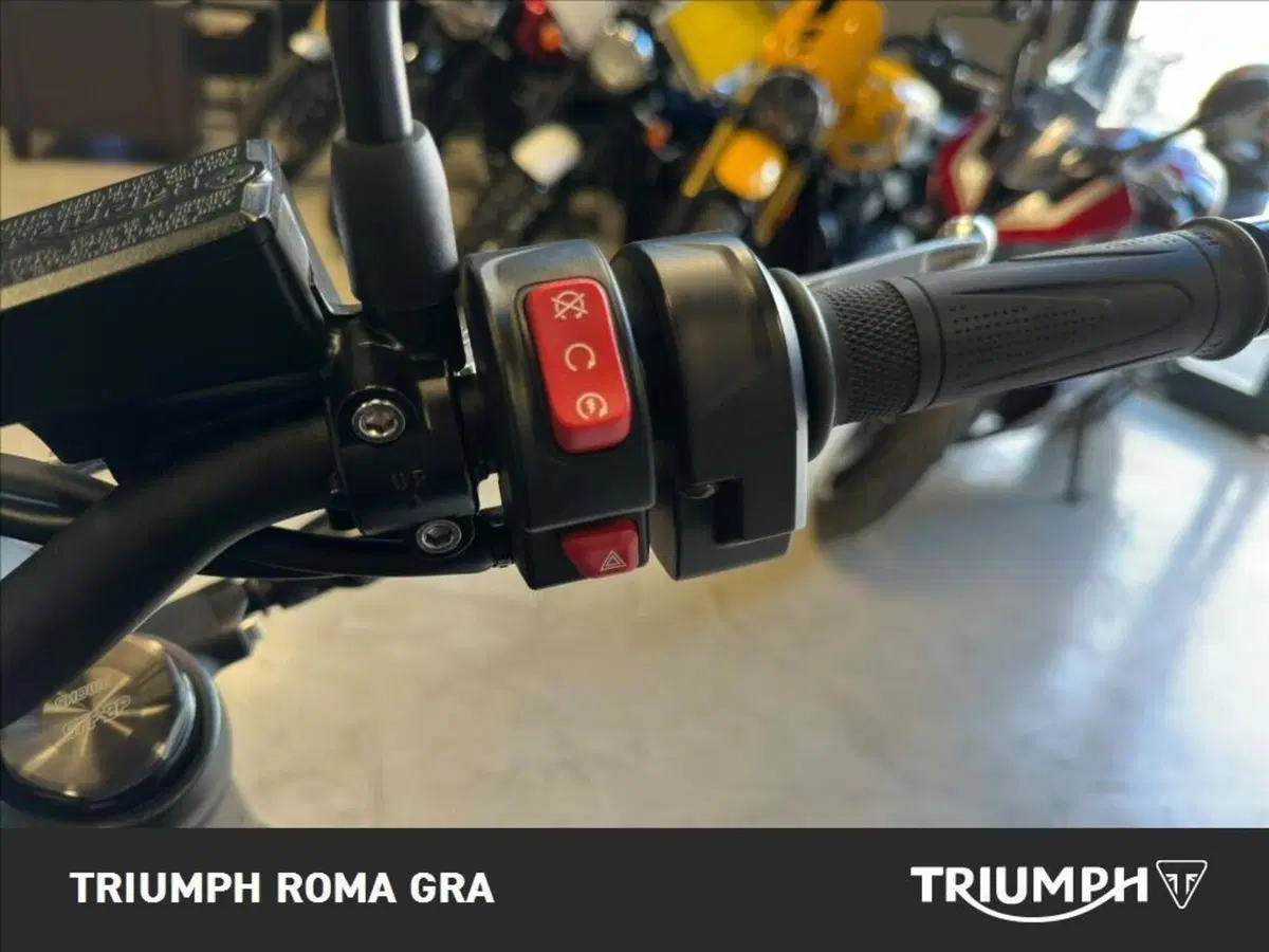 Triumph Trident 800 (2026) (16)