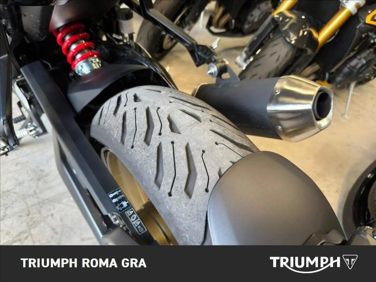 Triumph Trident 800 (2026) (22)
