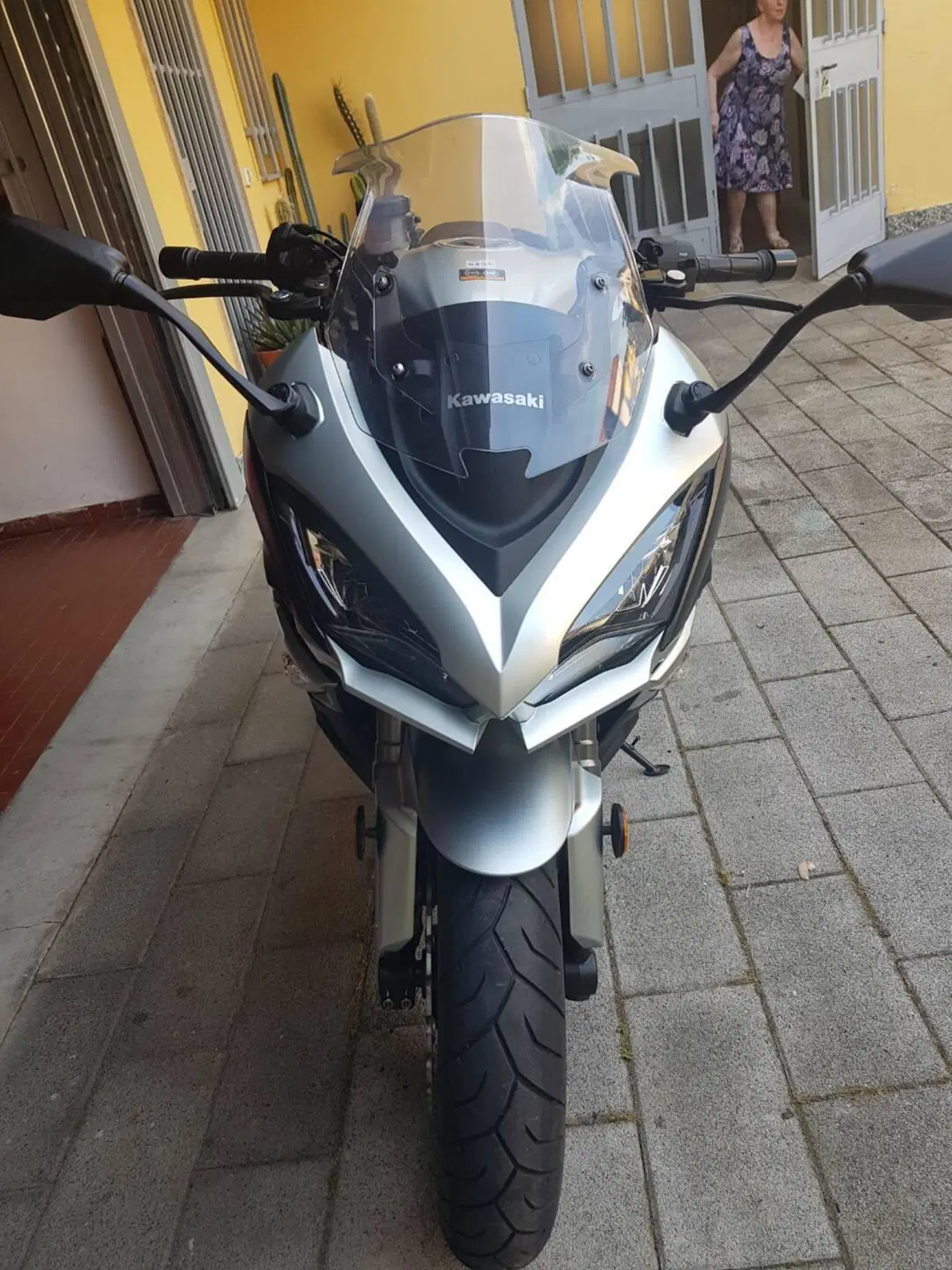 Kawasaki Z 1000 SX Tourer (2017 - 20) (9)