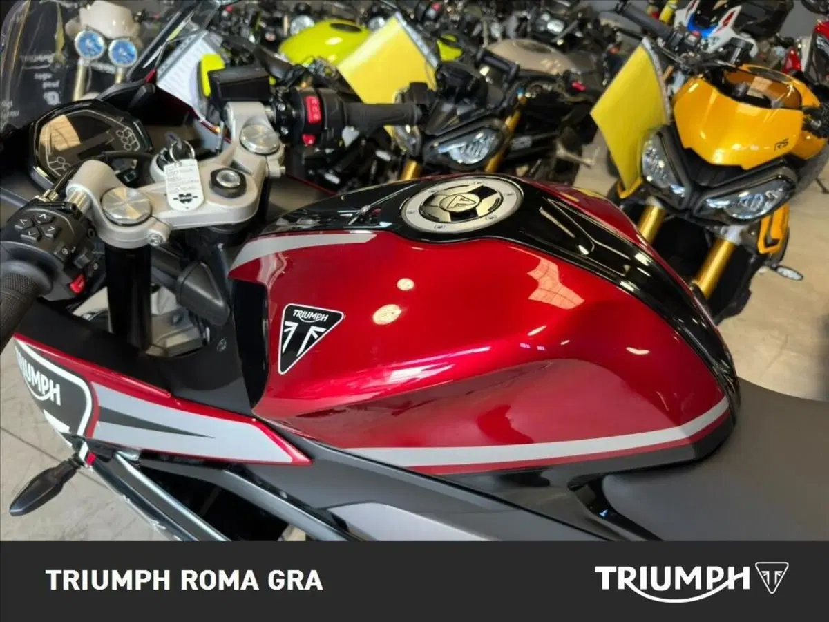 Triumph Daytona 660 (2024 - 26) (13)