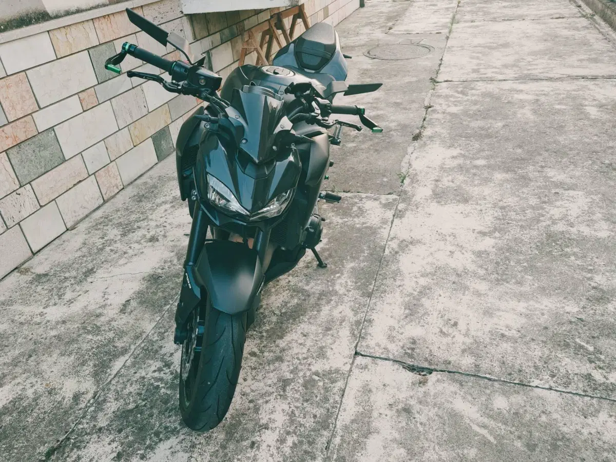 Kawasaki Z 900 Performance (2019) (3)