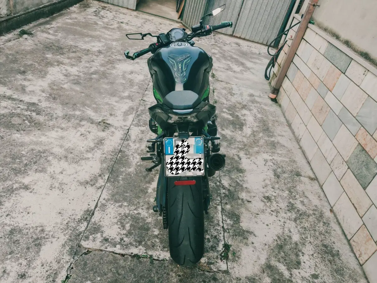 Kawasaki Z 900 Performance (2019) (4)