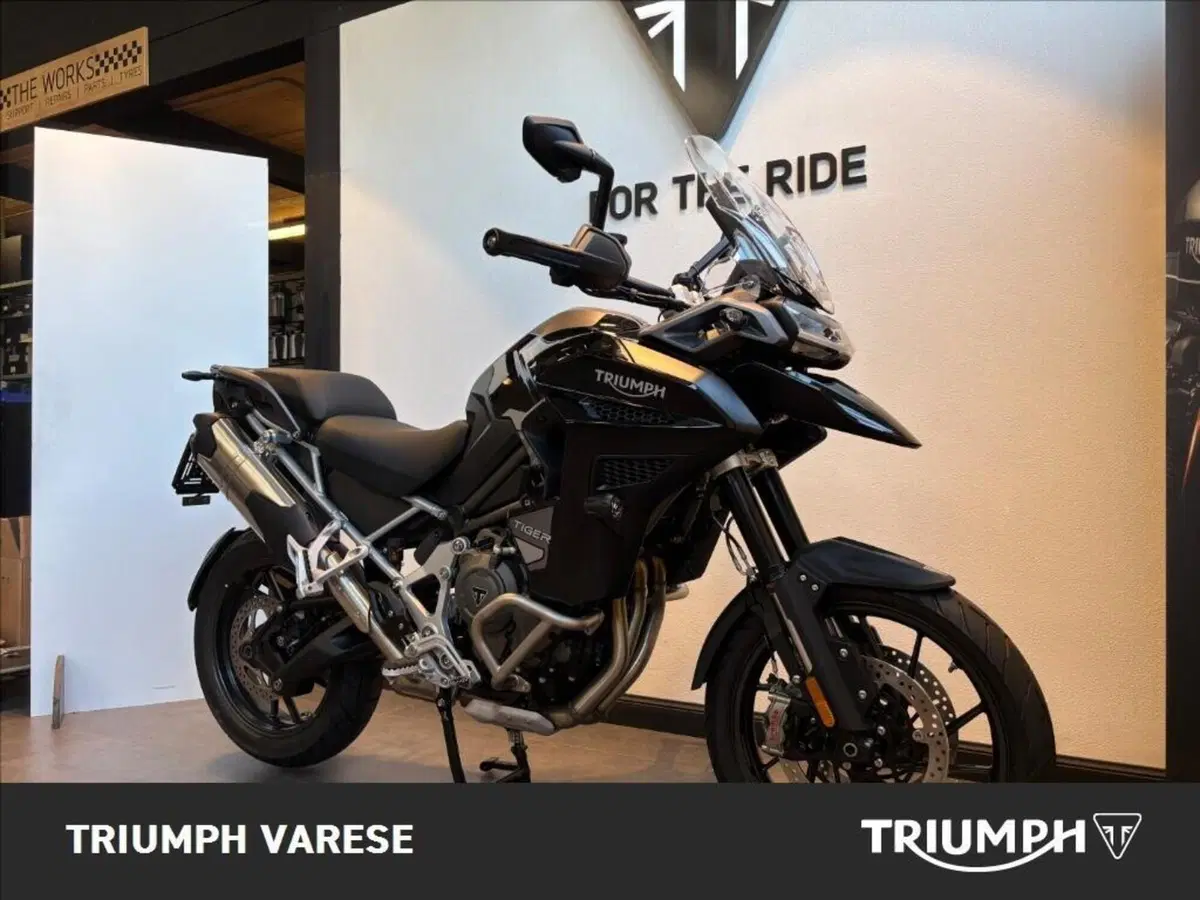 Triumph Tiger 1200 GT Explorer (2024 - 26) (2)