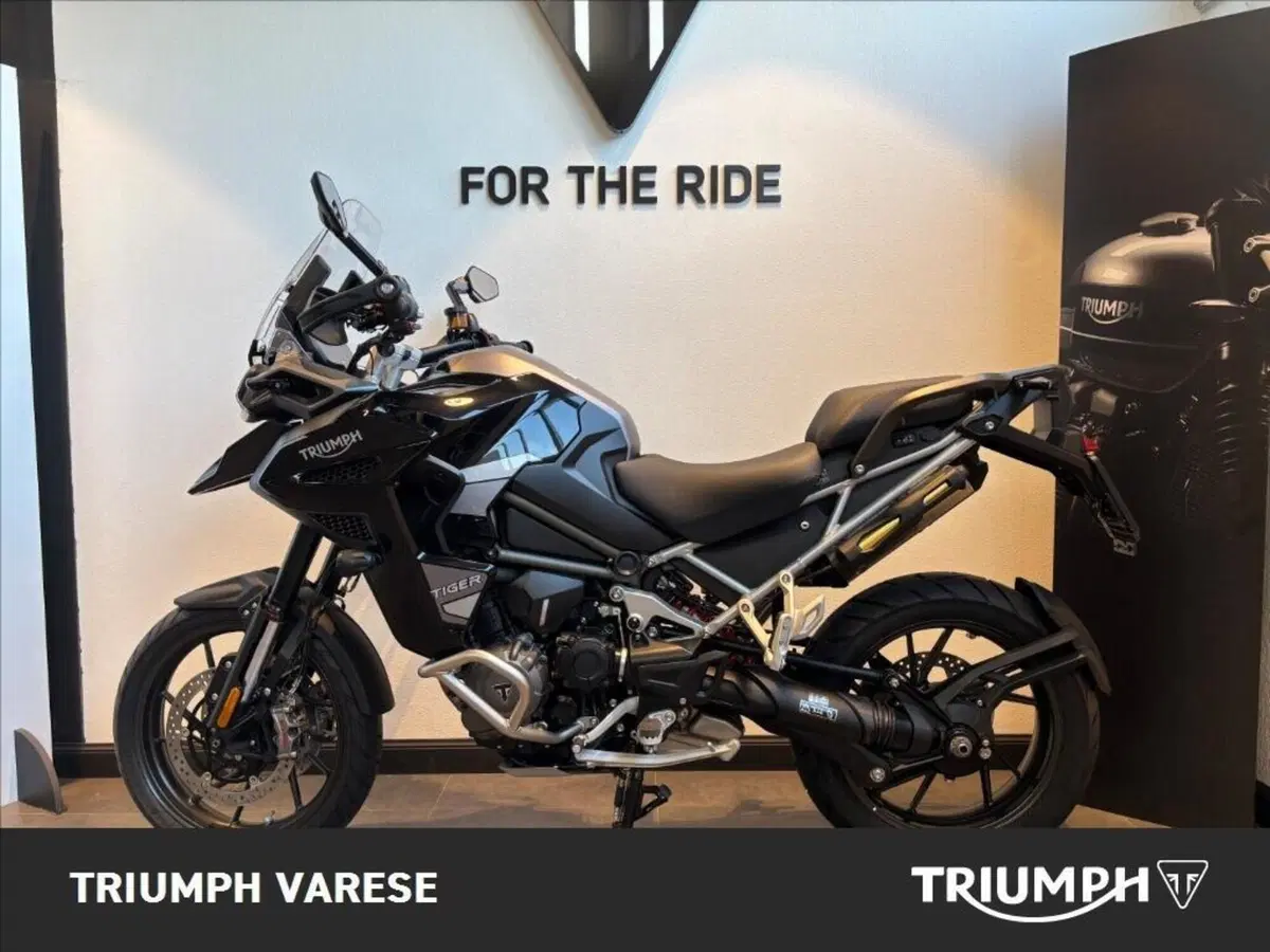 Triumph Tiger 1200 GT Explorer (2024 - 26) (3)
