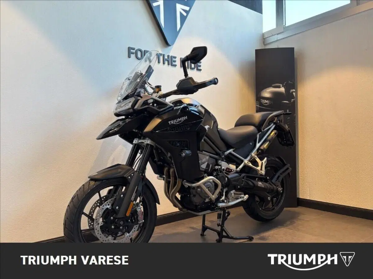 Triumph Tiger 1200 GT Explorer (2024 - 26) (4)