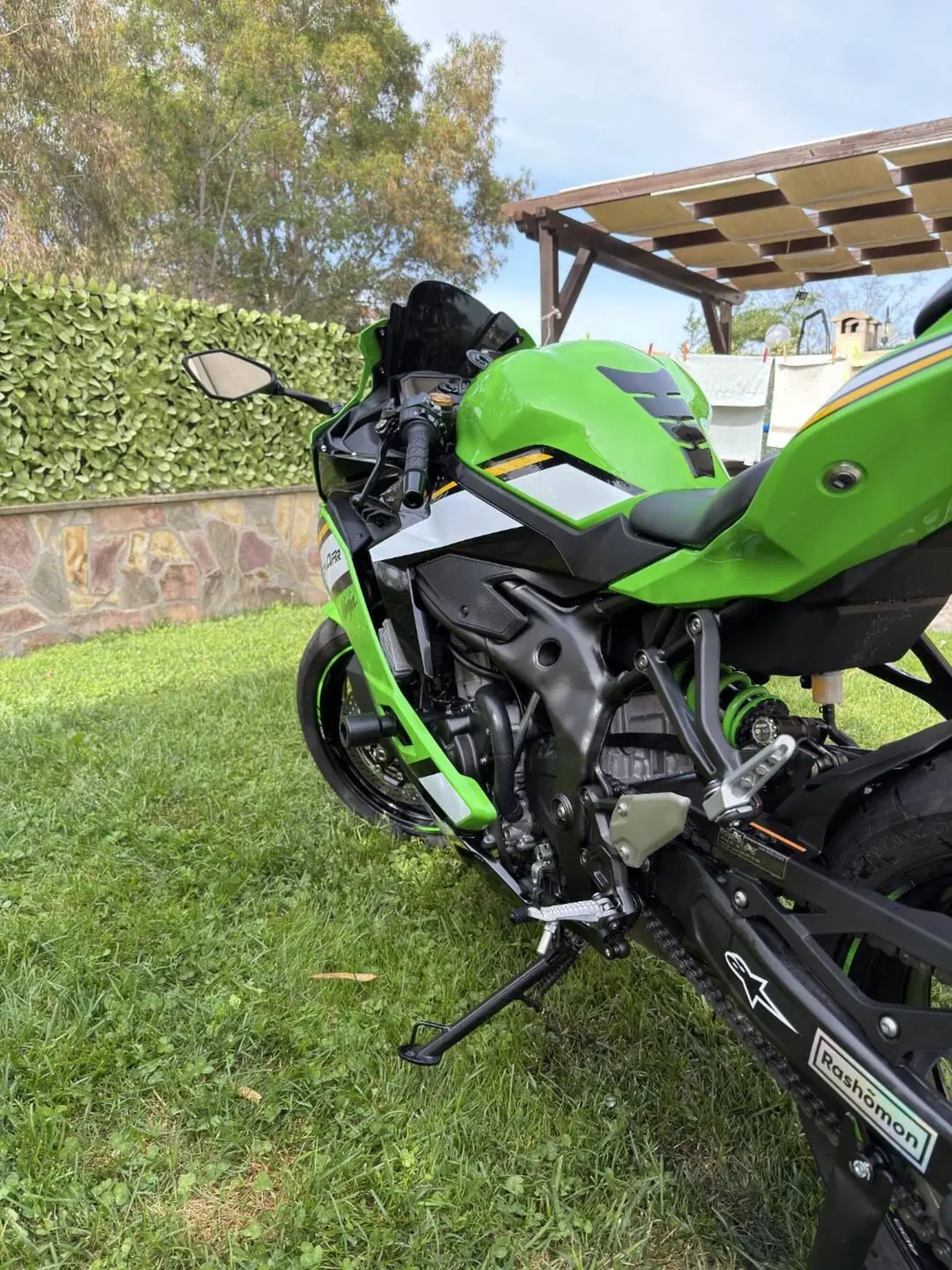 Kawasaki Ninja ZX-4RR (2024 - 26) (3)