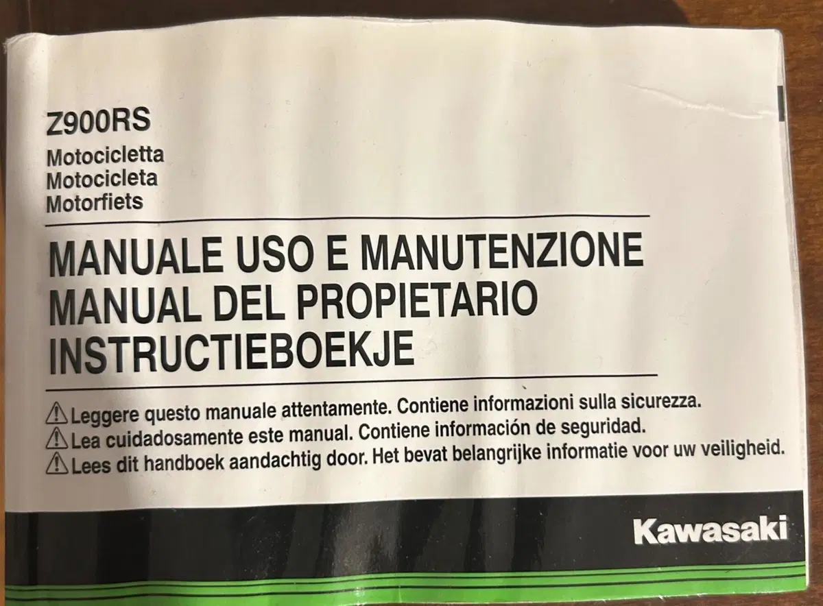 Kawasaki Z 900 RS (2018 - 20) (10)