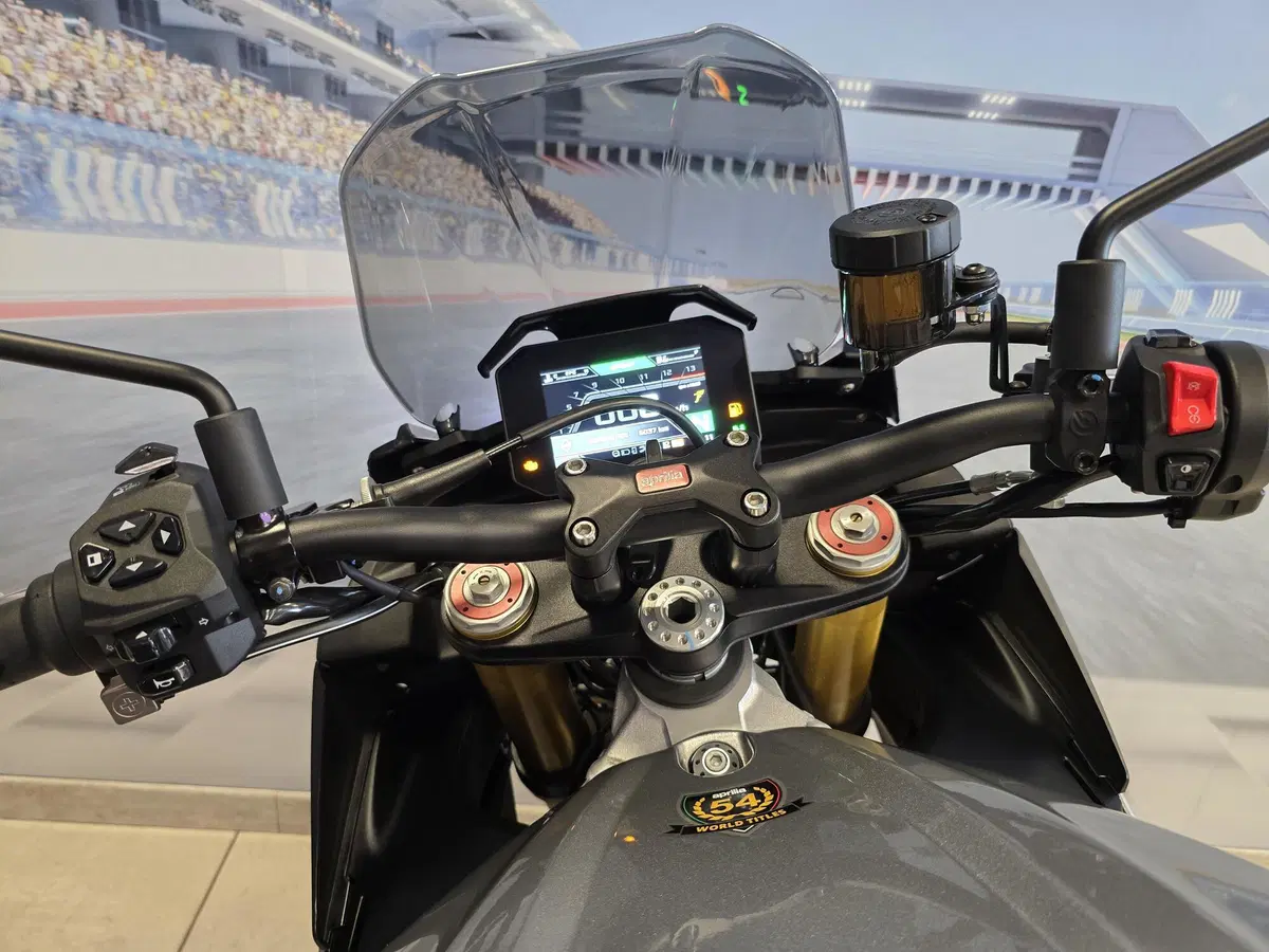 Aprilia Tuono V4 (2021 - 24) (6)
