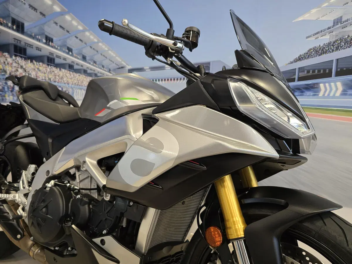 Aprilia Tuono V4 (2021 - 24) (14)