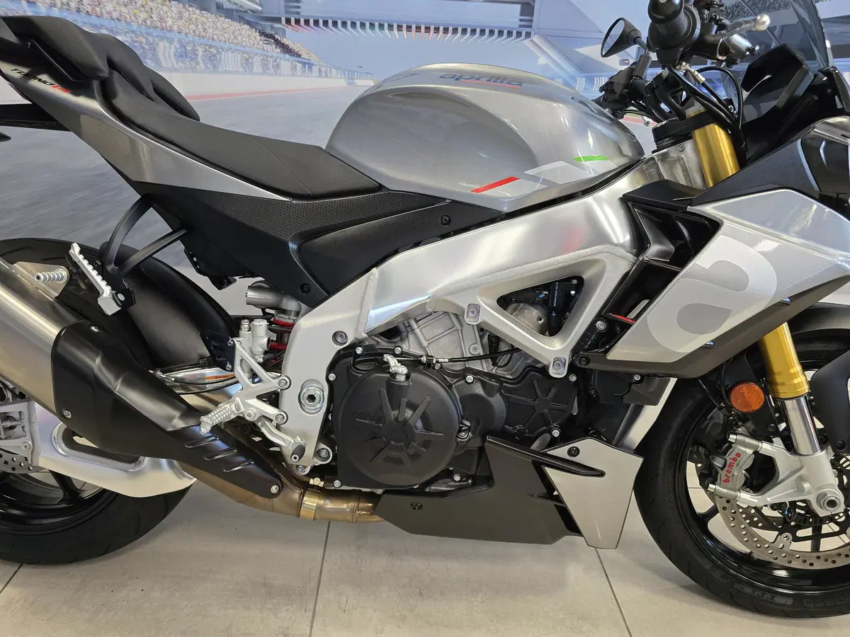 Aprilia Tuono V4 (2021 - 24) (15)