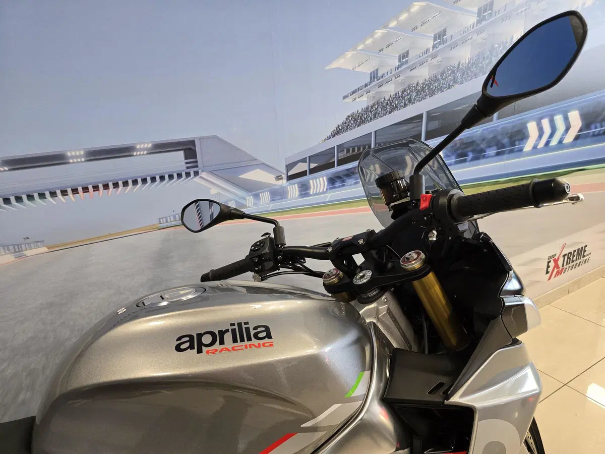 Aprilia Tuono V4 (2021 - 24) (16)