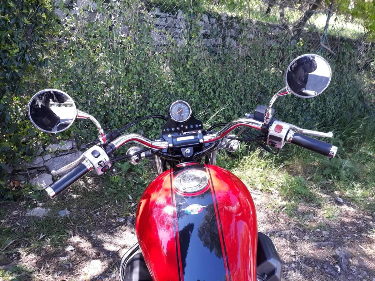 Moto Guzzi California Stone (2001 - 06) (4)