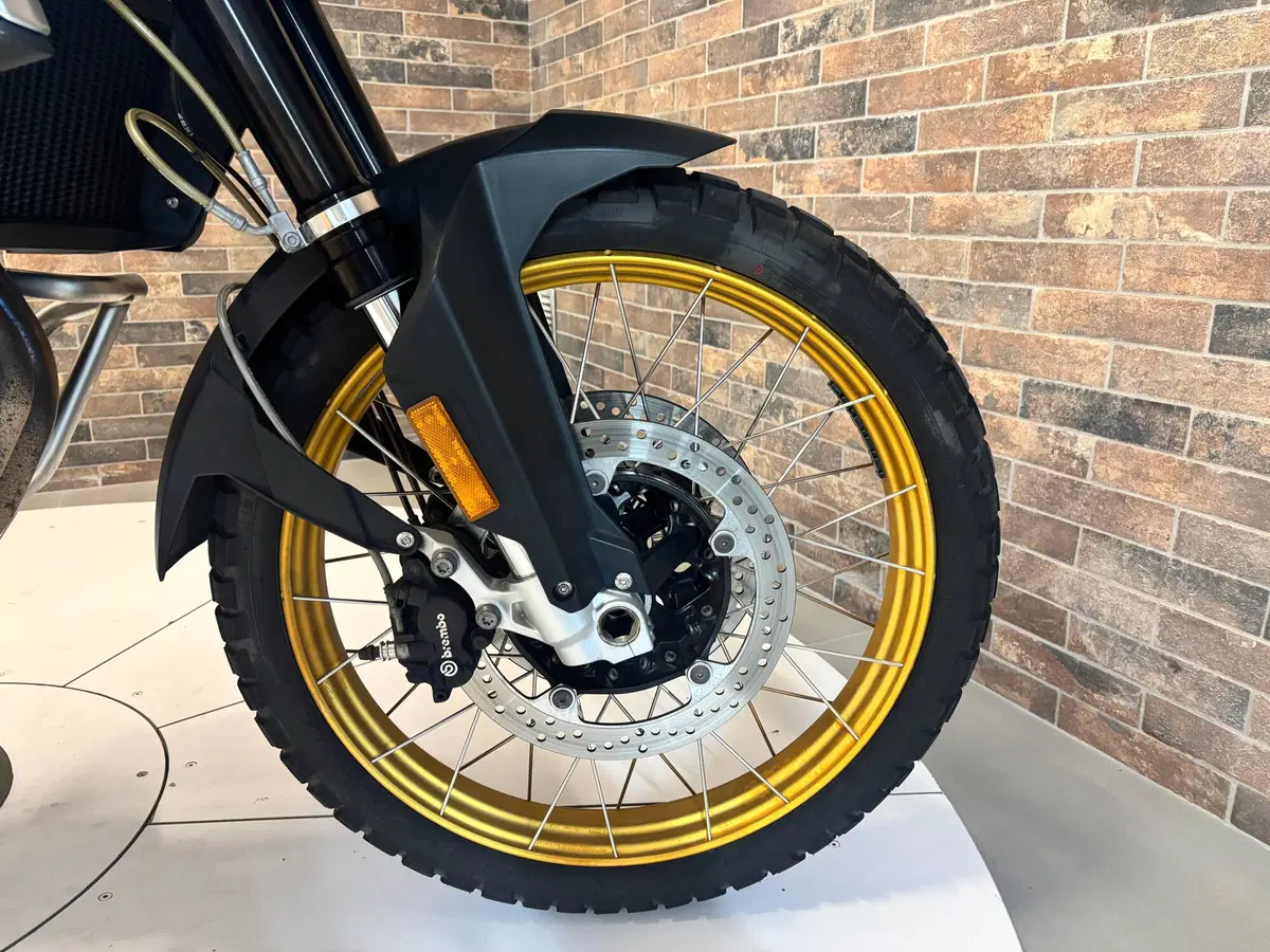 Bmw F 850 GS (2018 - 20) (10)