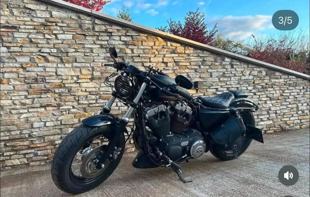 Harley-Davidson 1200 Forty-Eight (2010 - 15) (5)