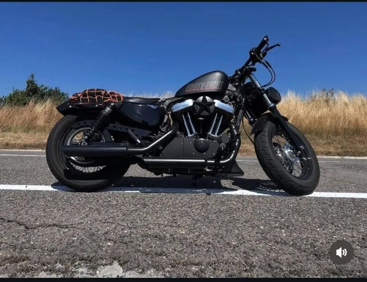 Harley-Davidson 1200 Forty-Eight (2010 - 15) (6)