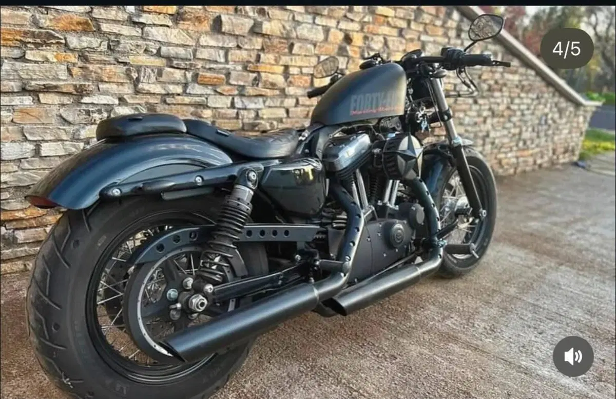 Harley-Davidson 1200 Forty-Eight (2010 - 15) (7)