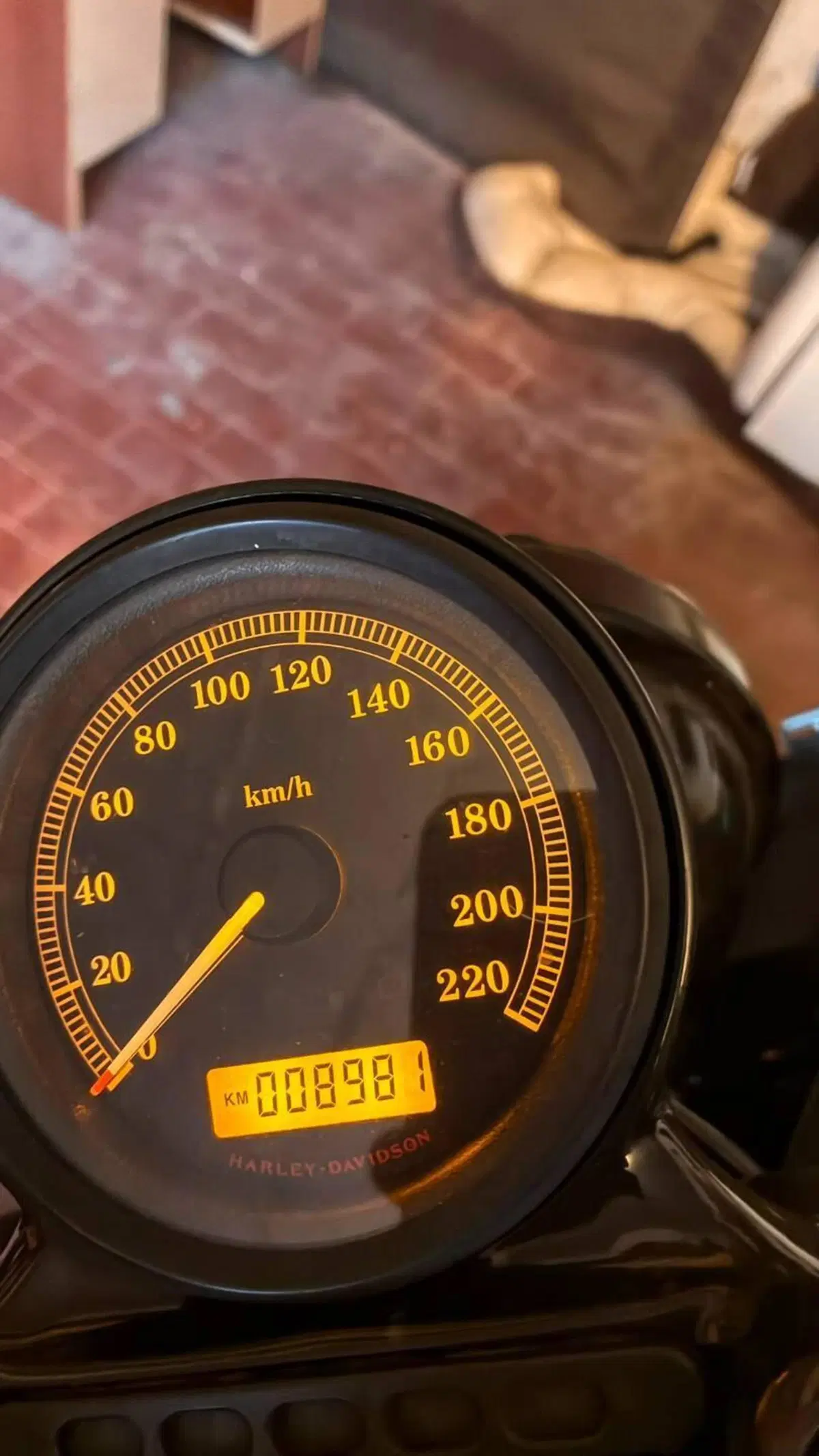 Harley-Davidson 1200 Forty-Eight (2010 - 15) (9)