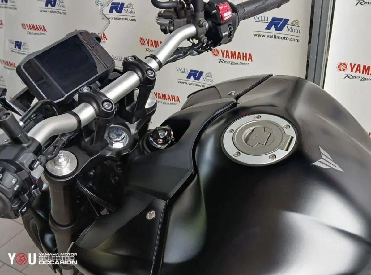 Yamaha MT-09 (2021 - 23) (3)