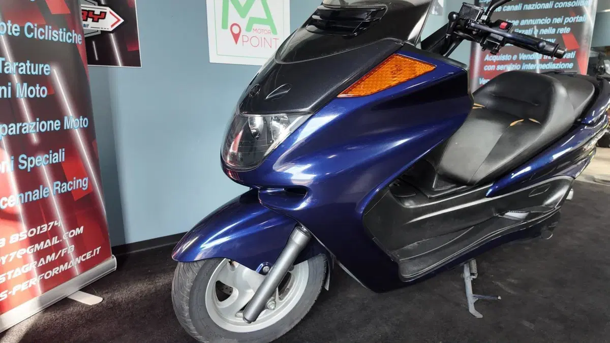 Yamaha Majesty 250 (1999 - 06) (10)