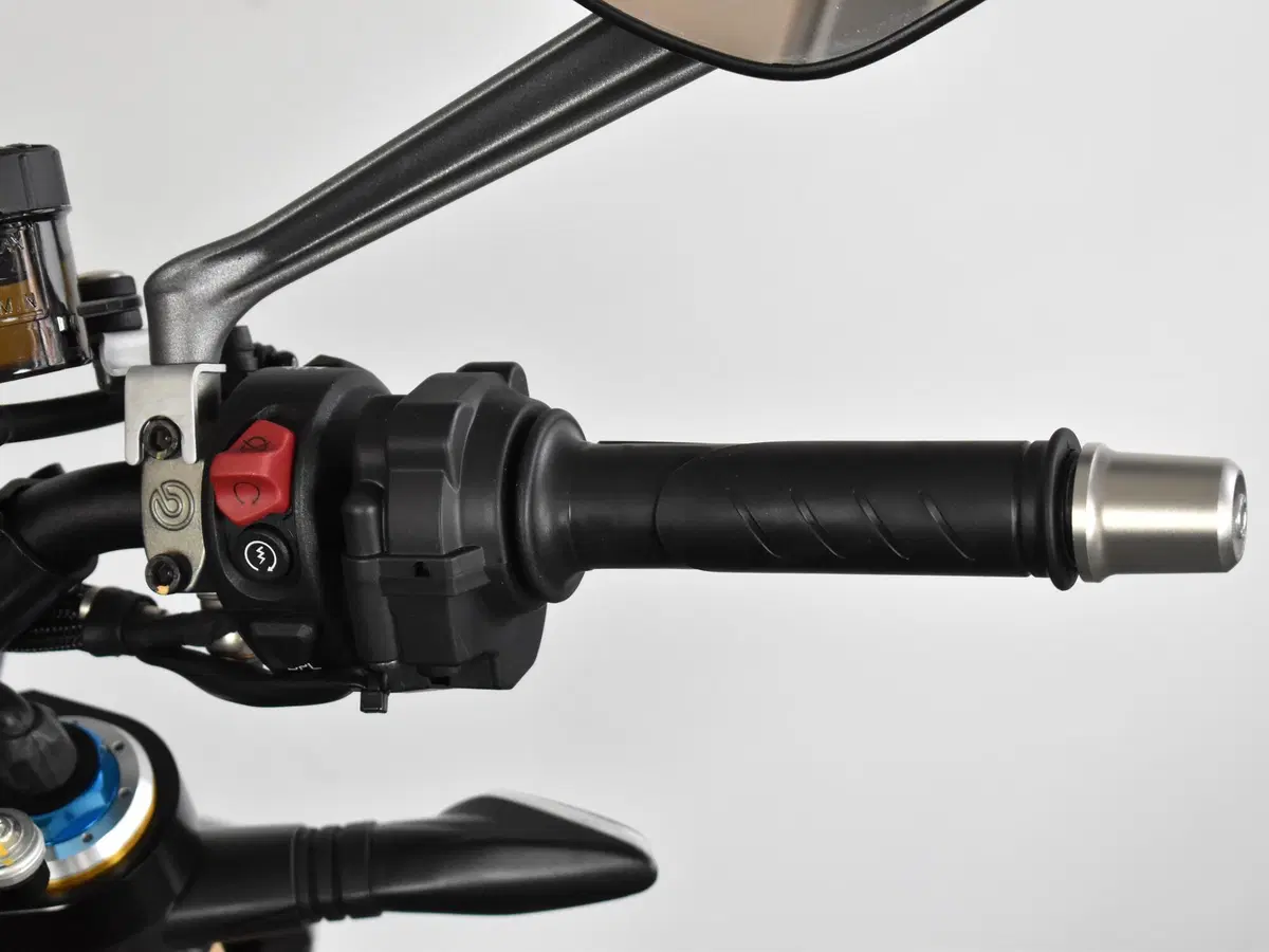 Ducati Streetfighter V4 1100 S (2021 - 22) (12)