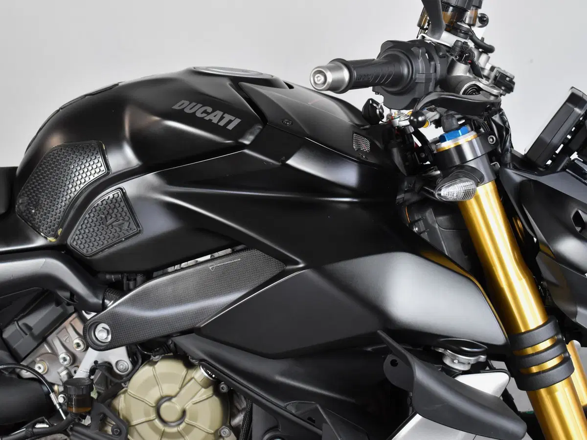 Ducati Streetfighter V4 1100 S (2021 - 22) (16)