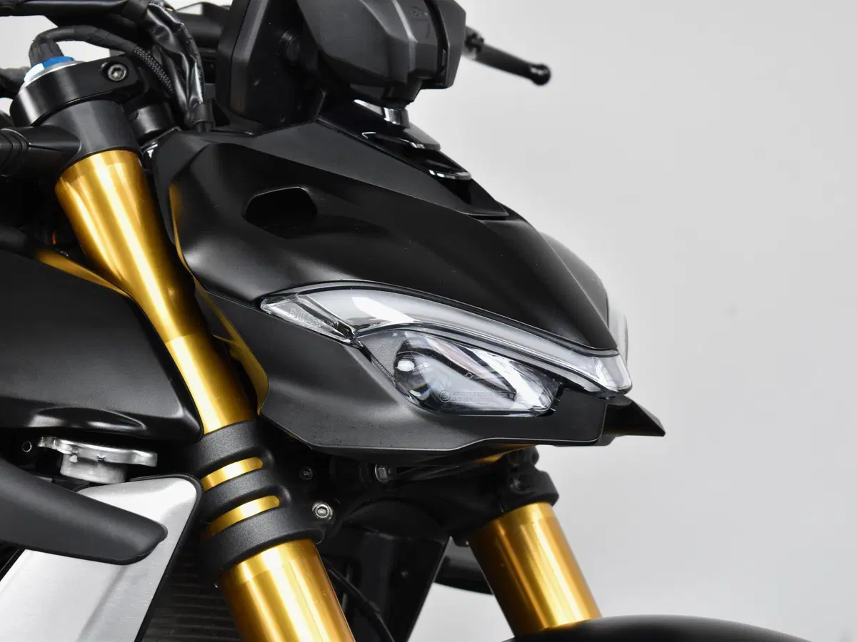 Ducati Streetfighter V4 1100 S (2021 - 22) (17)