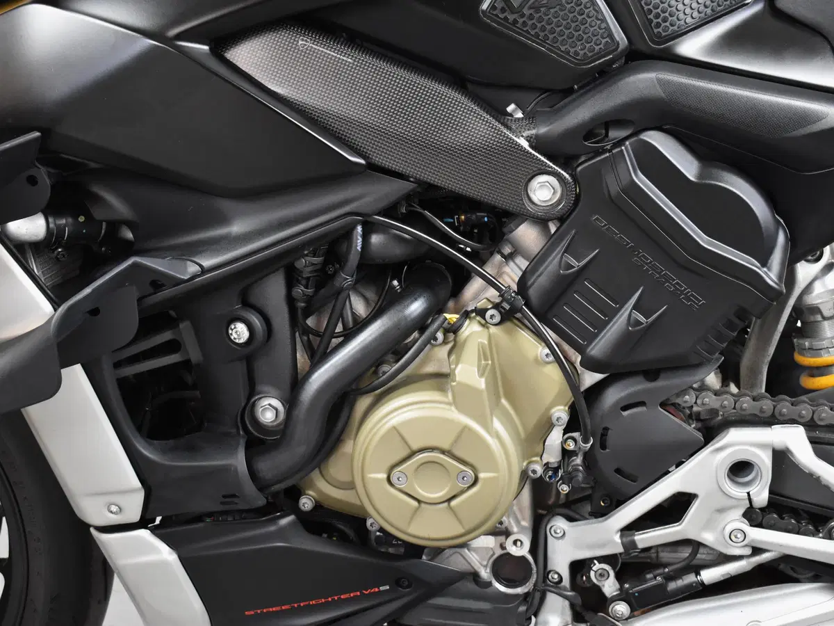 Ducati Streetfighter V4 1100 S (2021 - 22) (19)