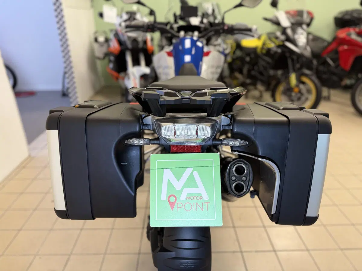 Bmw R 1250 GS (2019 - 20) (6)