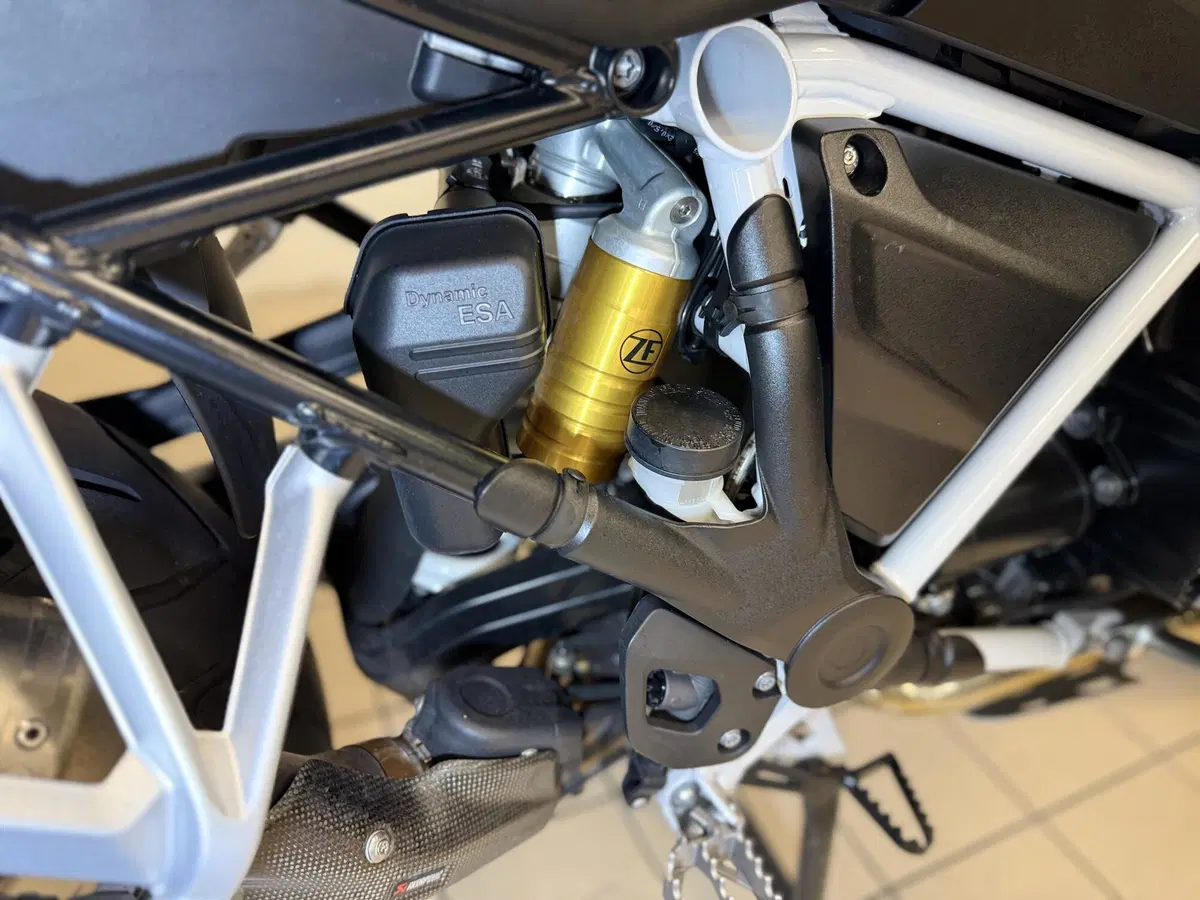 Bmw R 1250 GS (2019 - 20) (8)