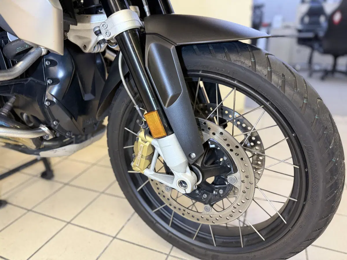 Bmw R 1250 GS (2019 - 20) (9)